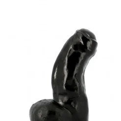 Gode All Black 16.5 X 5.1 Cm 9 Gode All Black 16.5 X 5.1 Cm -Vestiaire Fetish Soldes 2023 gode all black 165 x 51 cm 3