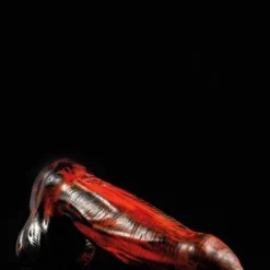 Gode Mammon - Twisted Beast -Vestiaire Fetish Soldes 2023 gode mammon twisted beast 15