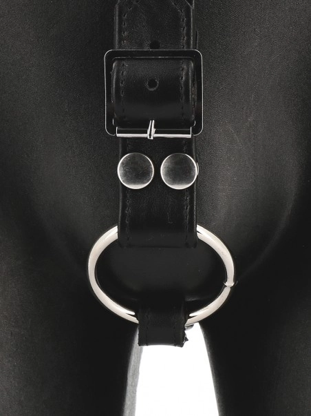 RoB Accessoires Harnais T 6 RoB Accessoires Harnais T – Image 4